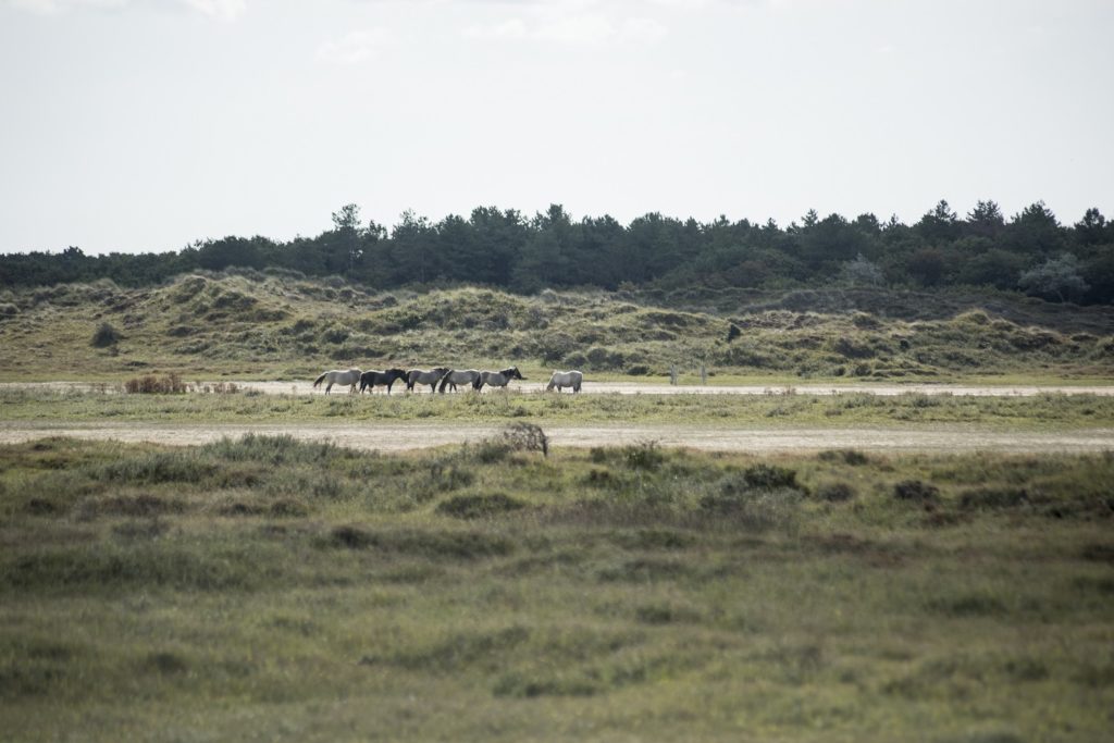 fietsroute Den Helder