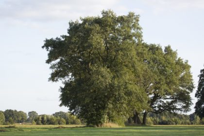 wandelroute Hardenberg