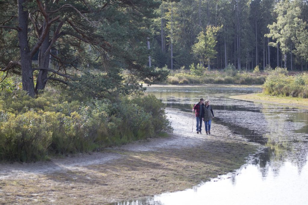 wandelroute Hardenberg