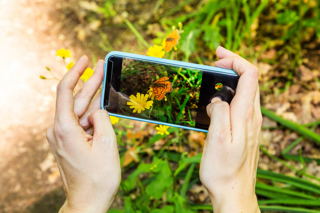 dieren herkennen apps