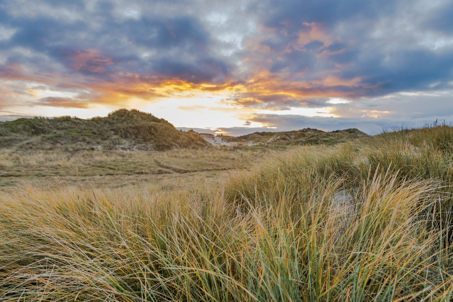 duinen