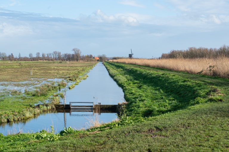 Natuurgebied Zouweboezem bij Sluis