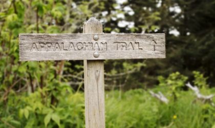 appalachian trail - a walk in the woods