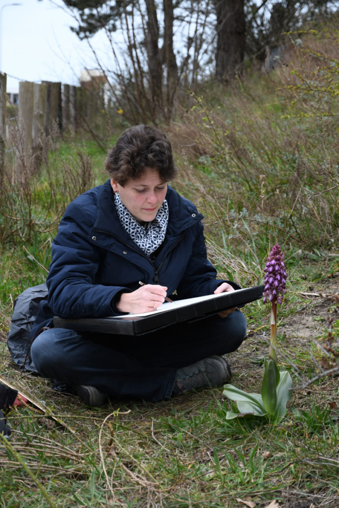 Esmée Winkel bij de hyacintorchis – Foto: Casper Zuyderduyn