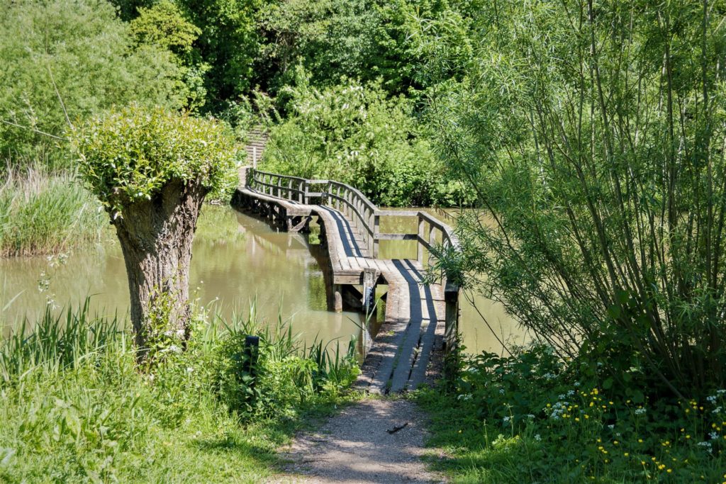 Grienden en gorzen op Eiland IJsselmonde