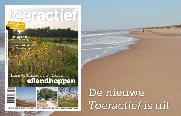 Toeractief 4-2021