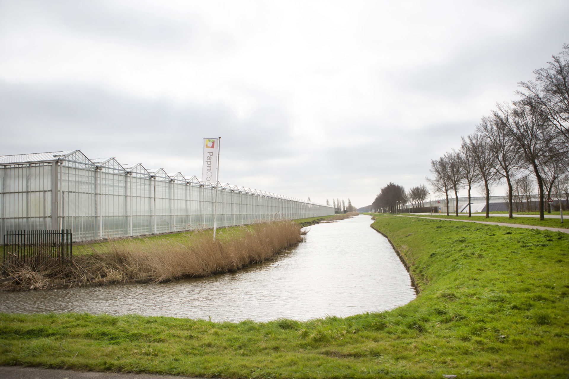 Kassen in West-Friesland