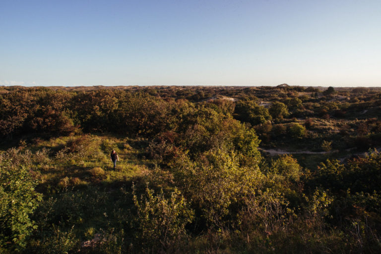 Wandroute Wassenaar: wandelen in Meijendel