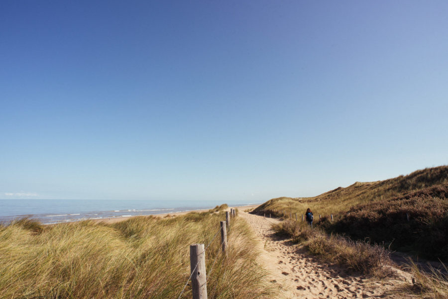 Duinen op wandelroute door natuurgebied Meijendel