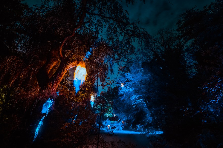Lichtfestival