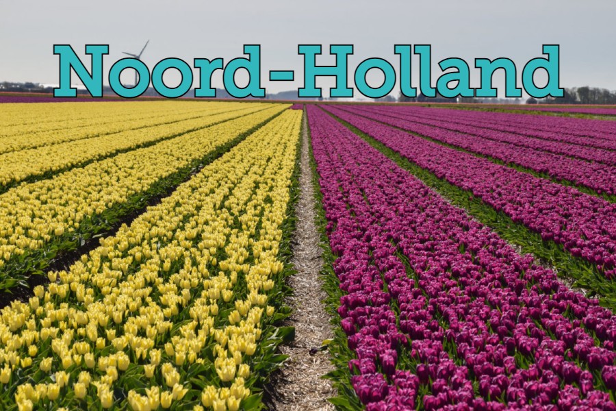 Wandelen Noord Holland