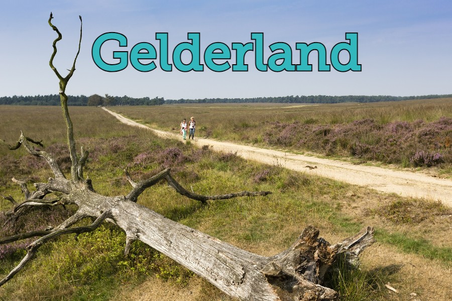 Wandelen Gelderland