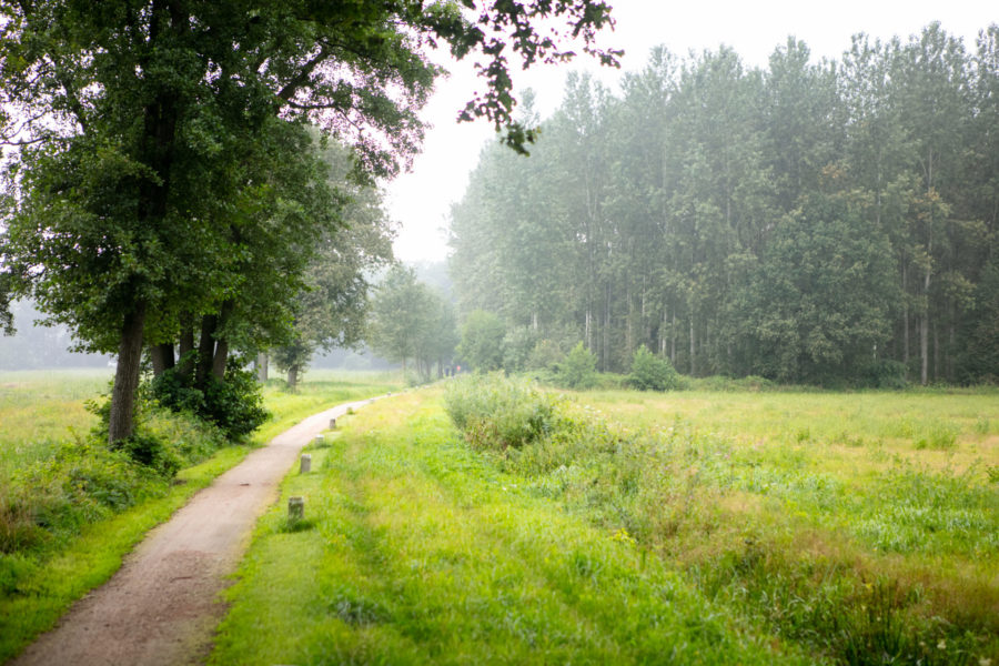 Fietsen over verborgen kerkpaden: fietsroute Lievelde