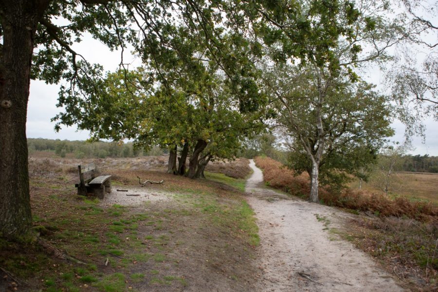 Wandelen in Limburg