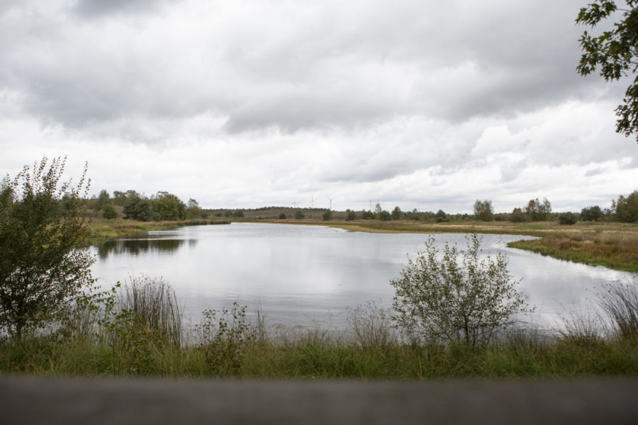 Wandelen Landgoed De Hamert 