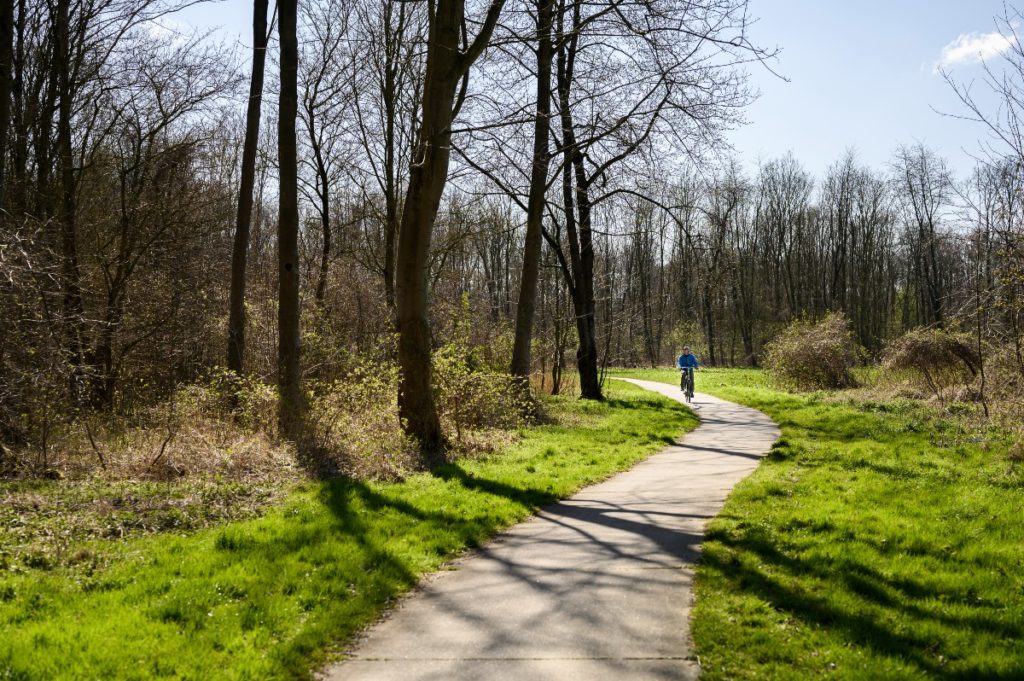 De bomen beschermen fietsers tegen de wind op de Flevopolder.