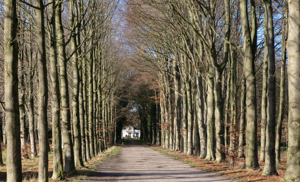 Statige laan, fietsroute Lemele