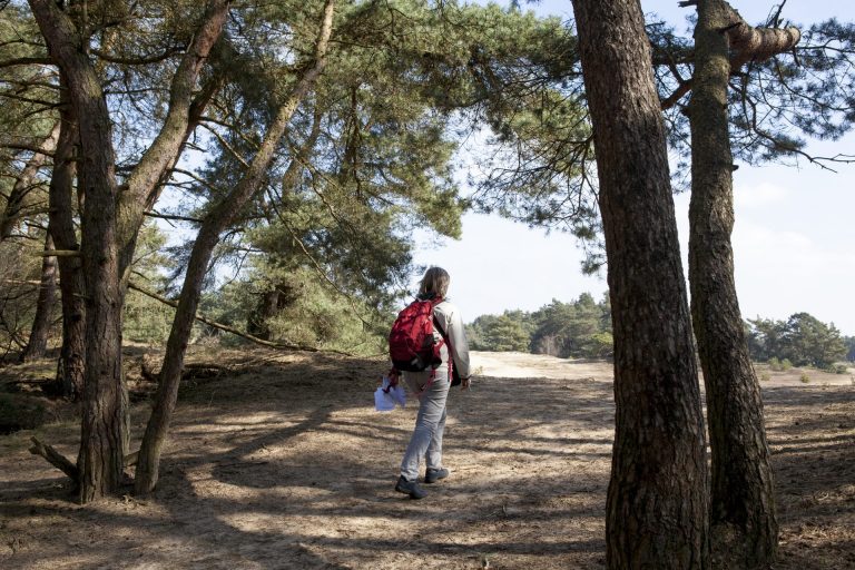 Wandelroute Kootwijk