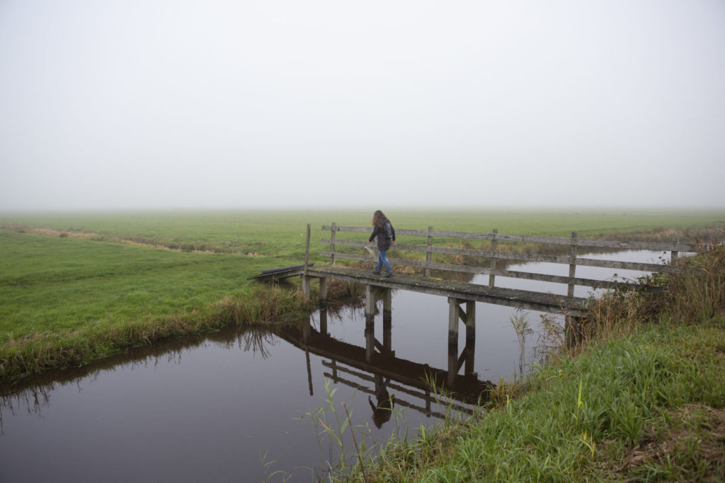 It Swin in Friesland