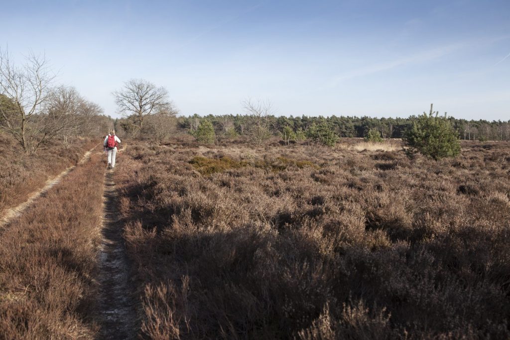 Wandelen route Kootwijk