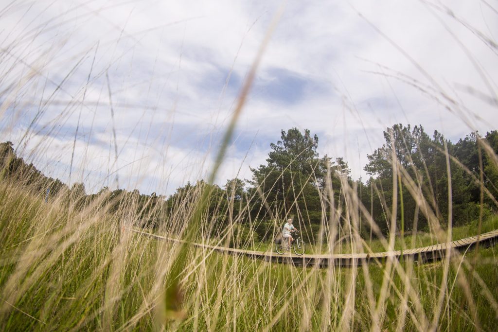 Fietsen door de Kalmthoutse Heide