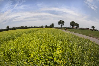 Fietsen door de Noorderkempen