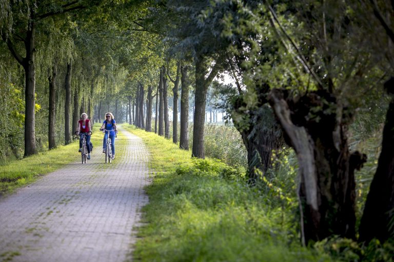 De fietsroute vanuit Tiel gidst je dwars door de Betuwe