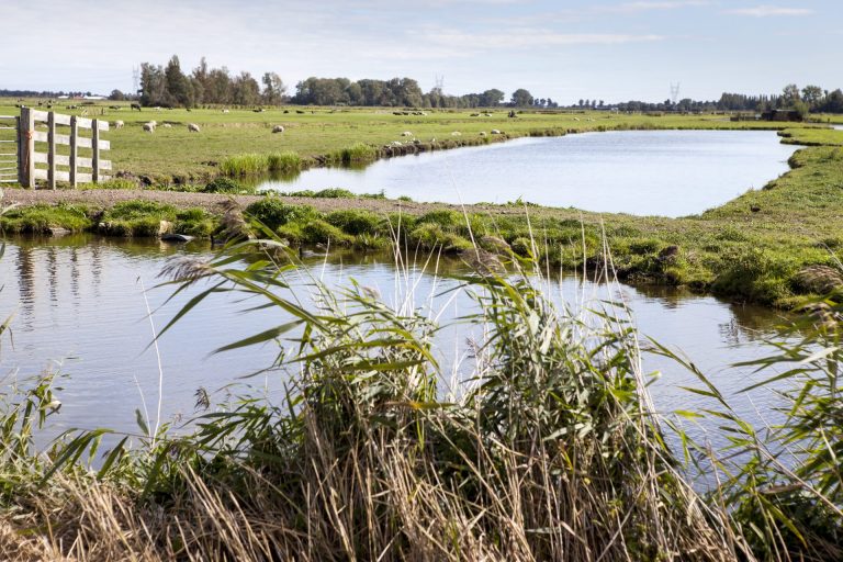 Wandelroute De Rijp voert je door prachtig polderlandschap