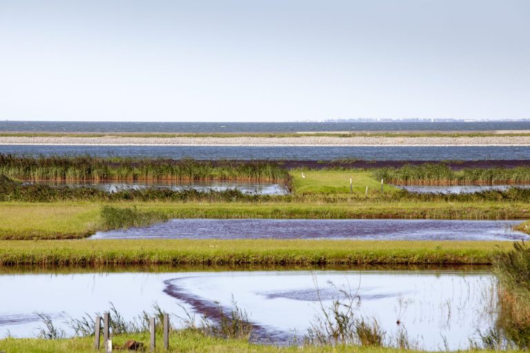 Het uitzicht op fietsroute Hoorn is prachtig