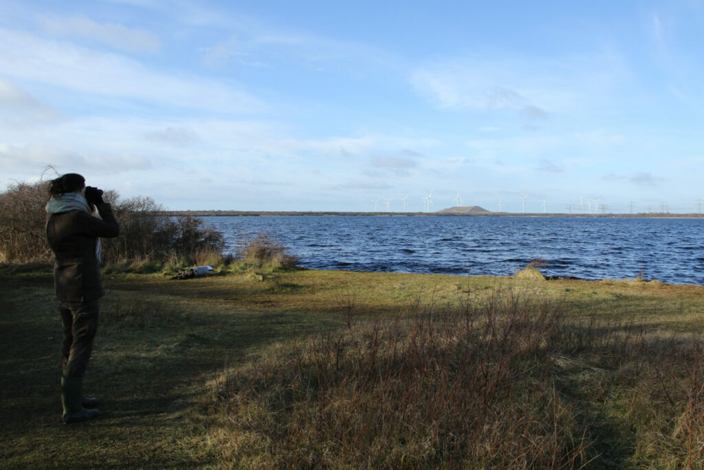 Uitzicht op wandelroute Rockanje door de duinen van Oostvoorne