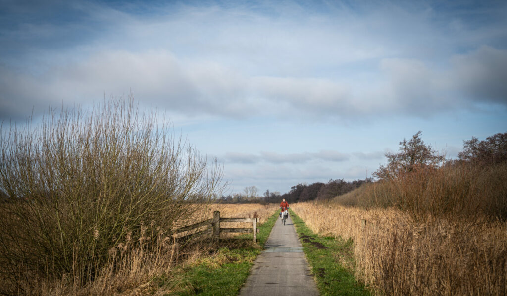 Fietsen langs riet en water