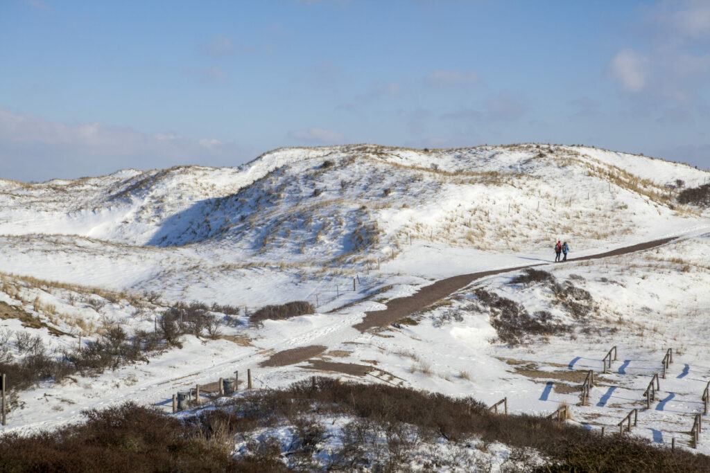 In de duinen nabij Castricum wordt water gezuiverd