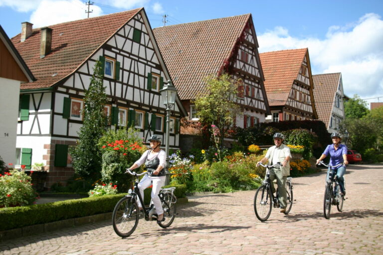 E-biken zwarte woud