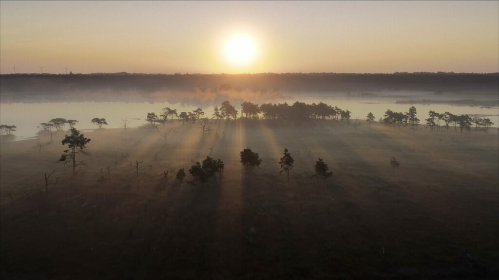 Onze Natuur - Het Wilde België