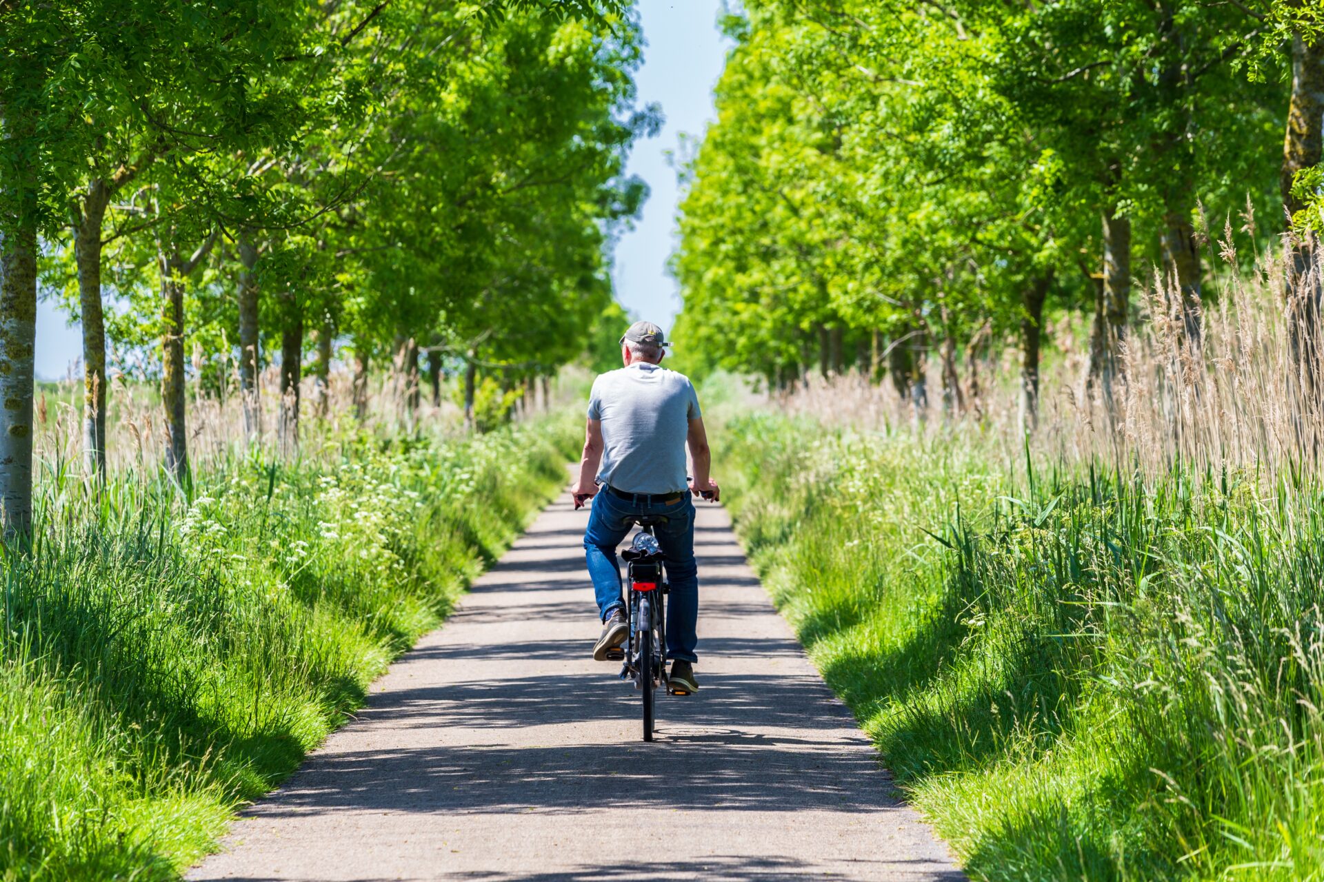 Nature-based therapy kan helpen om je gezondheid en welzijn te ondersteunen.