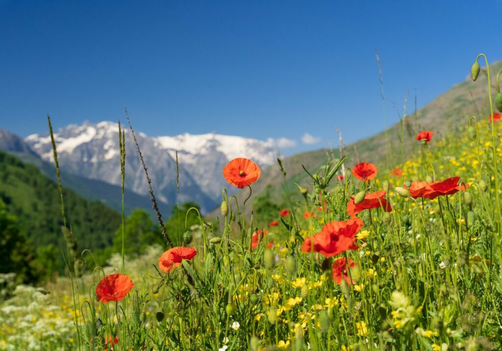 Oisans, Isère, Franse Alpen