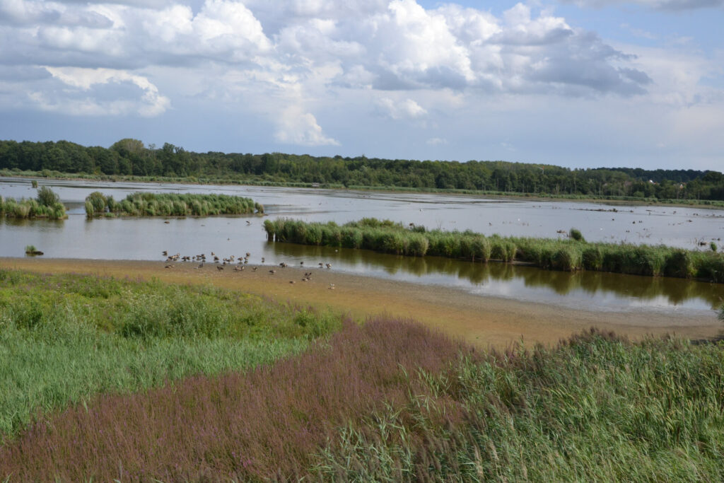 Het Vinne in het Hageland