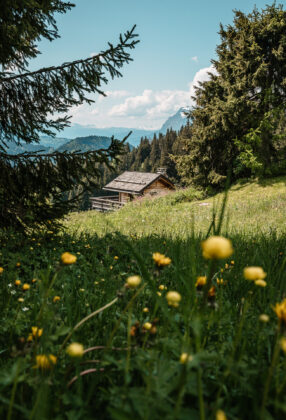 Landschap nabij Les Gets in de Franse Alpen