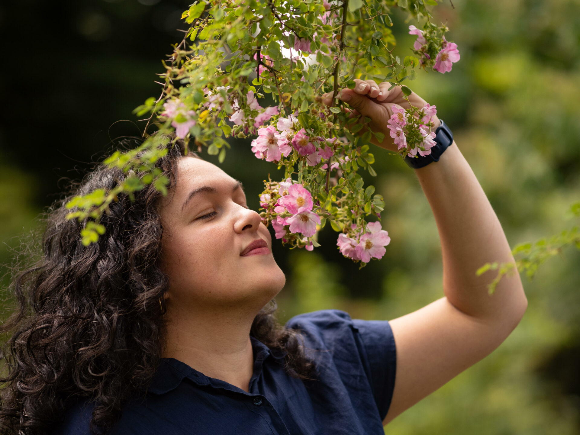 Geurbeleving in de Hortus botanicus Leiden