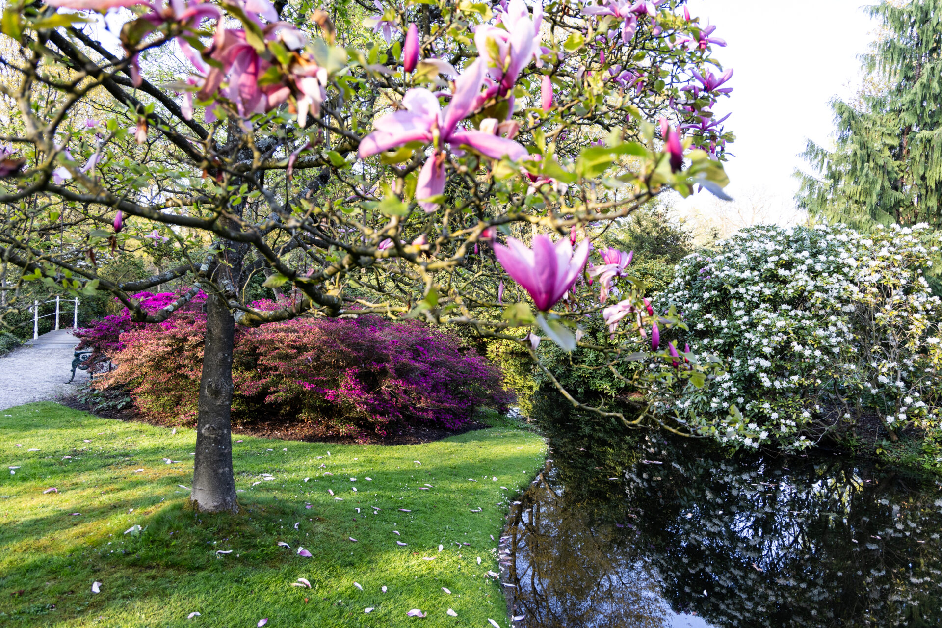 De Maaltuin