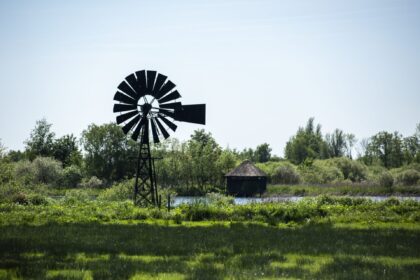 Groene, Friese omgeving