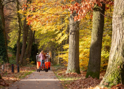 Bladverkleuring in Nederland