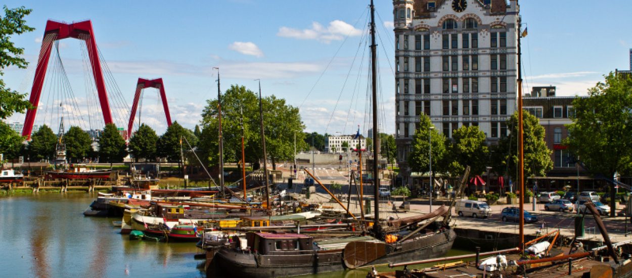 Fotos van witte lullen