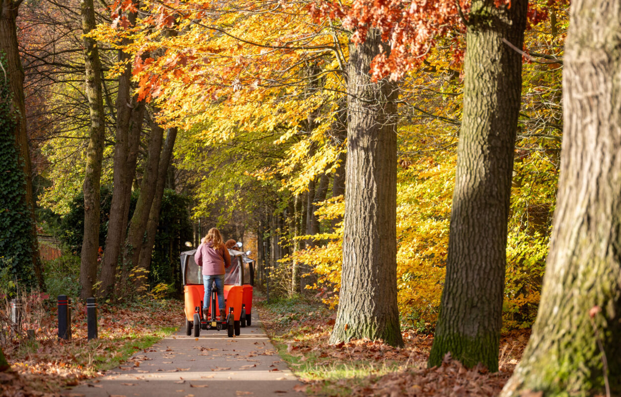 Bladverkleuring in Nederland