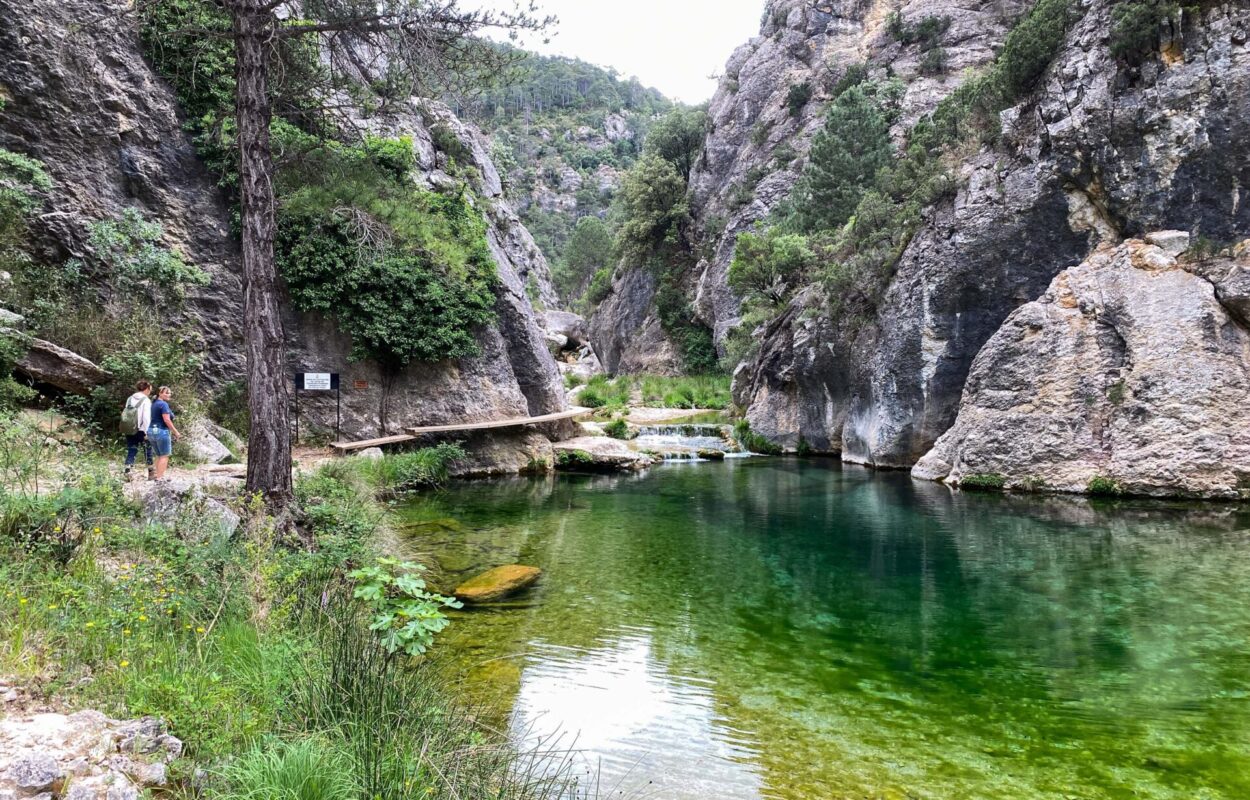 Collom Mark Huid en Hout Foto Mark Kras