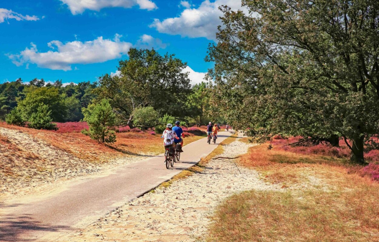 Fietsknooppunten afbeelding Fietsknooppunten afbeelding