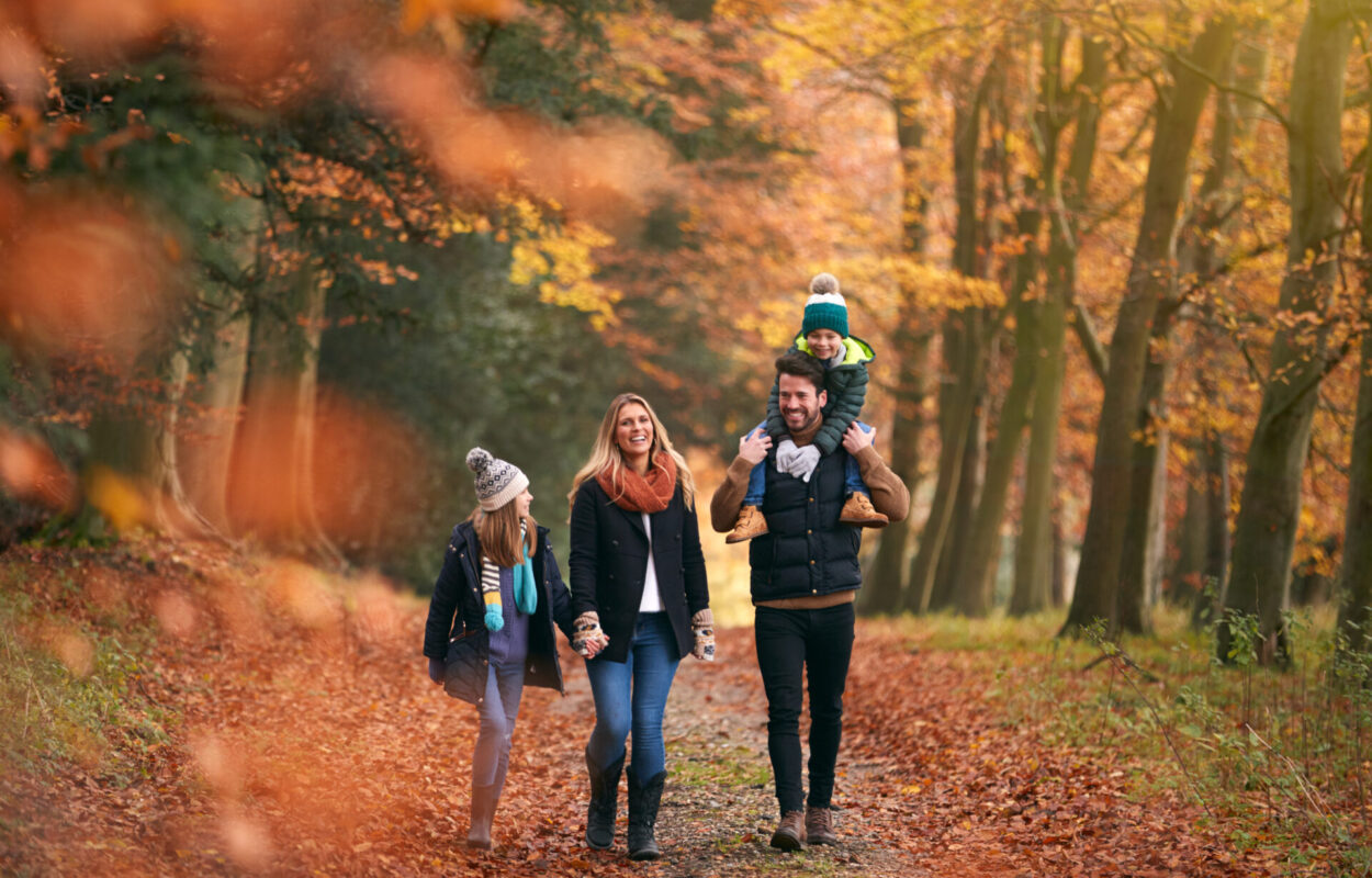 Activiteiten voor de hele familie