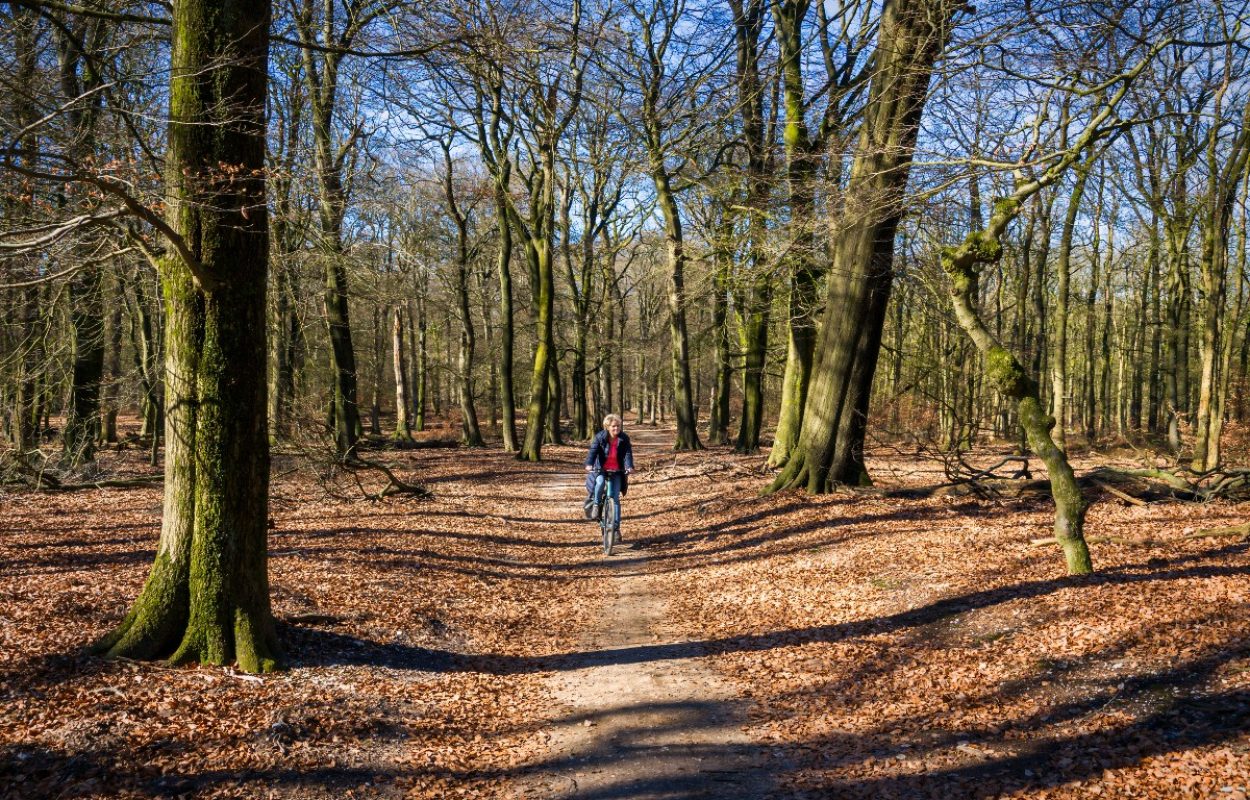 Fietsroute Elspeet door Kroondomein Het Loo