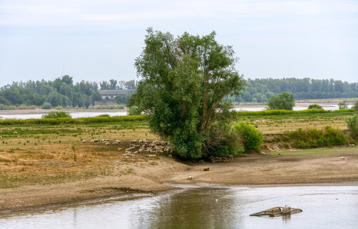 Fietsroute Tiel