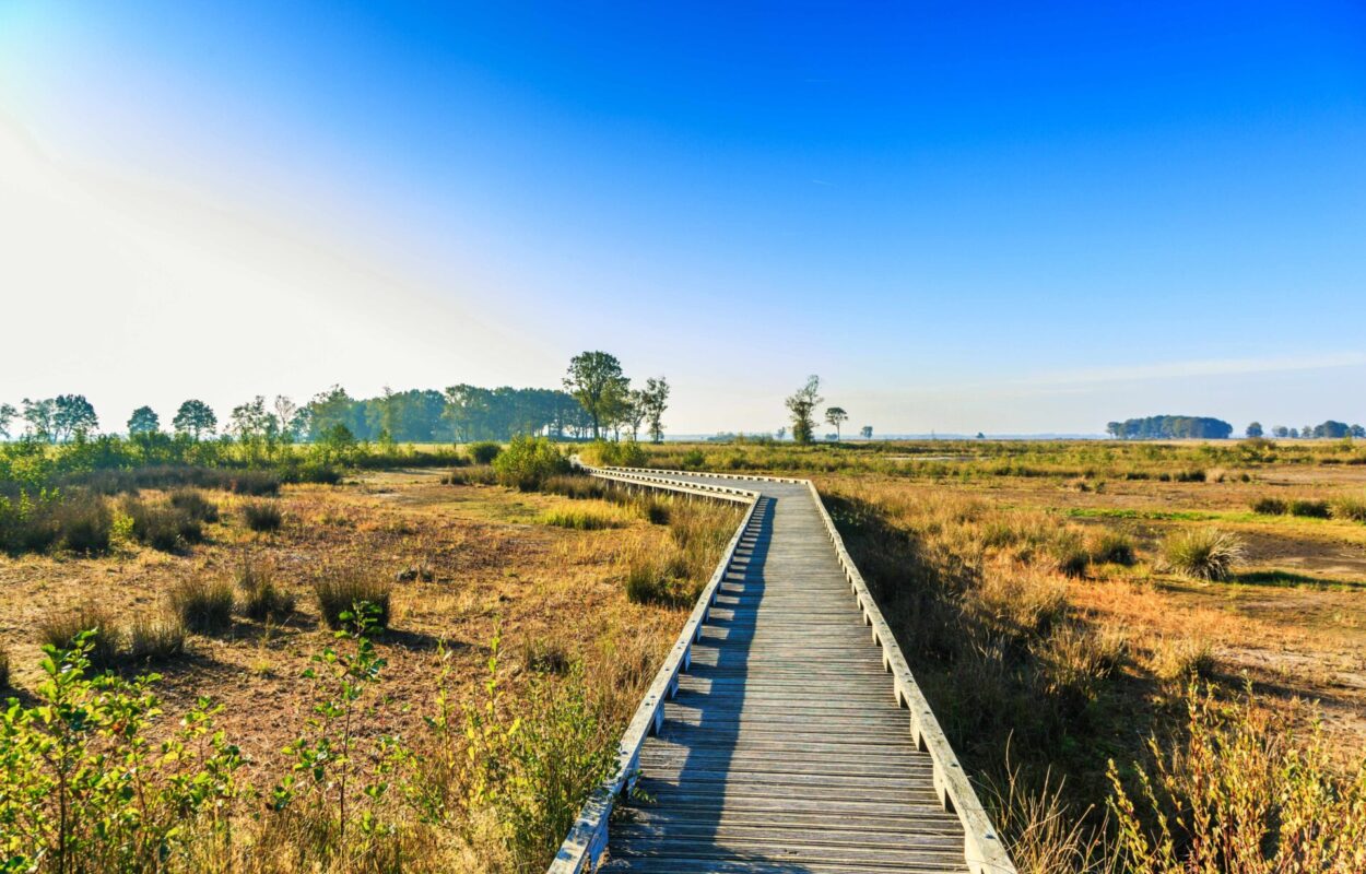 Nationaal Park Dwingelderveld is een van de mooiste wandelgebieden van Nederland
